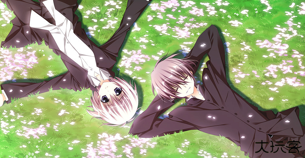 樱之诗最新版下载