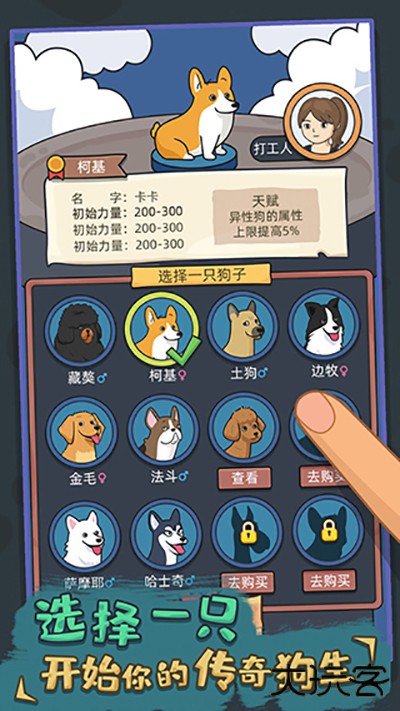 狗生模拟器最新版下载