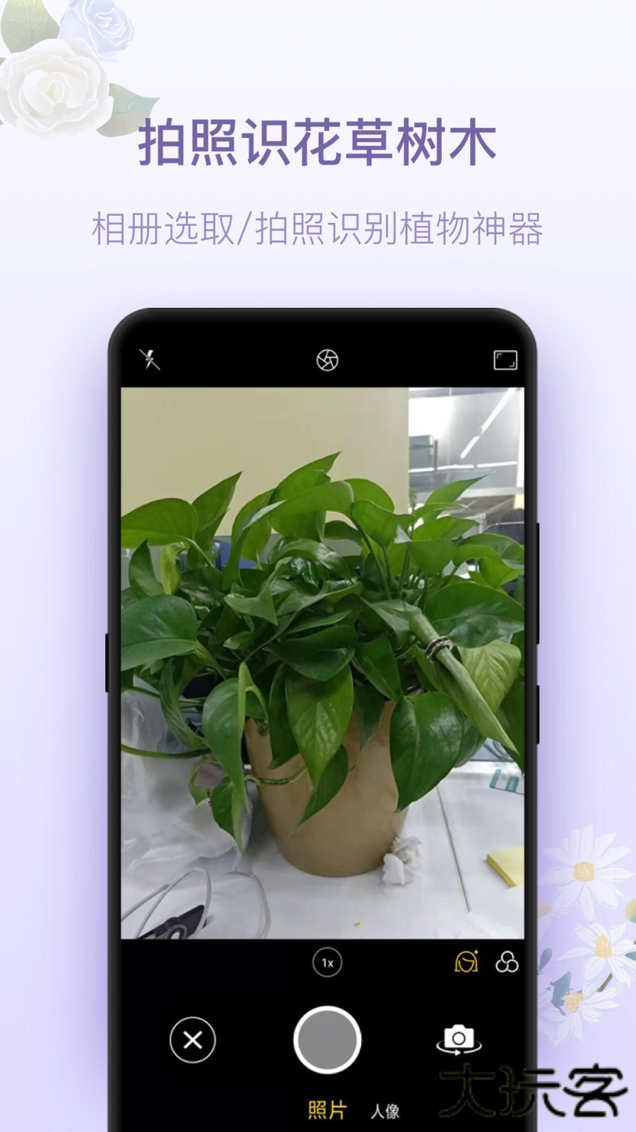 拍照识花神器免费下载