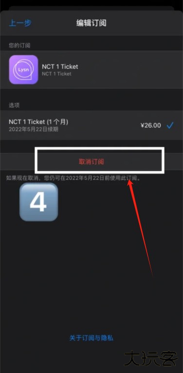 lysn国际版下载