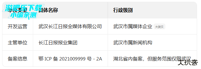 大武汉客户端下载