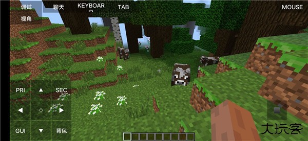 我的世界Java国际版下载