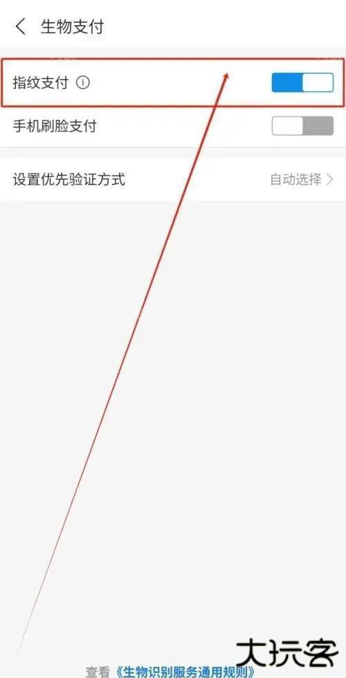 支小宝
