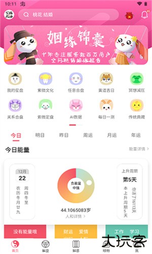 紫微大师安卓版