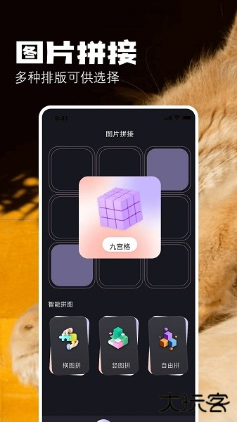 布偶相机