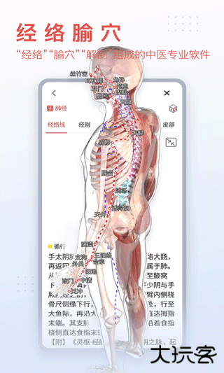 3dbody解剖安卓版