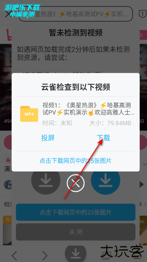 视频下载鸟高级版