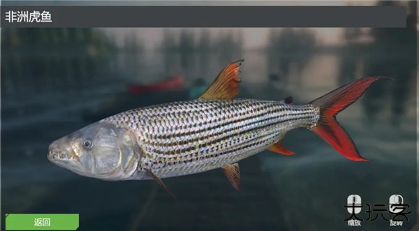 终极钓鱼模拟器无限金币版游戏攻略3