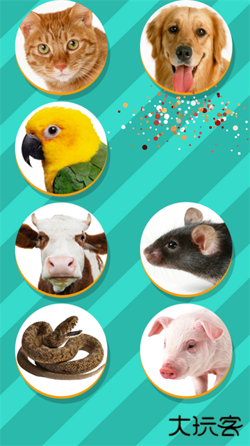 PetTranslator动物语言翻译器免费下载