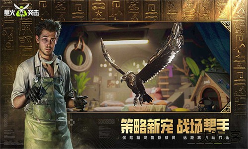 萤火突击华为版