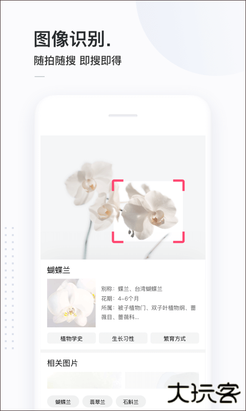 简单搜索旧版本安卓版