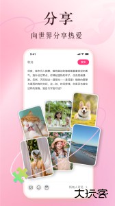 买买纷官方版下载 v8.0.4安卓版