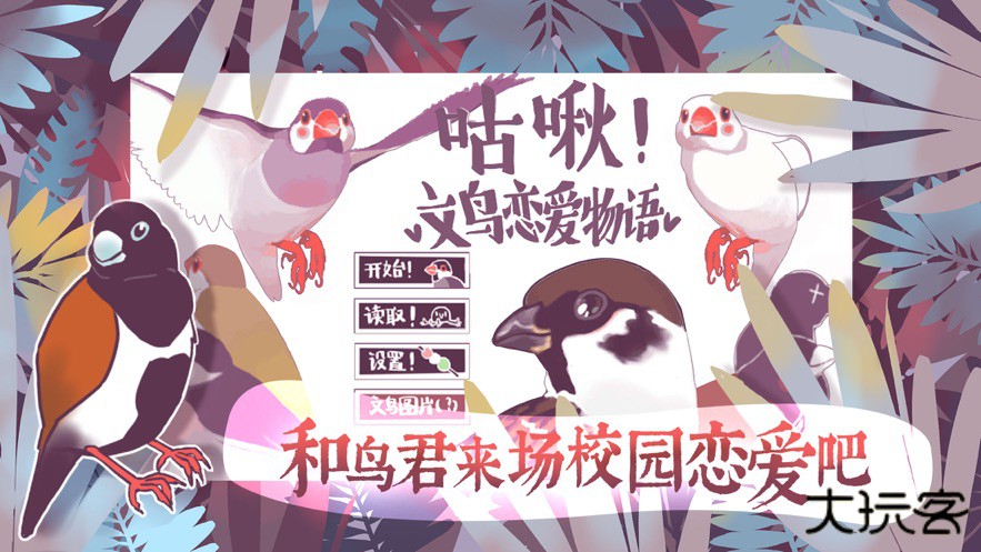 文鸟恋爱物语最新版下载