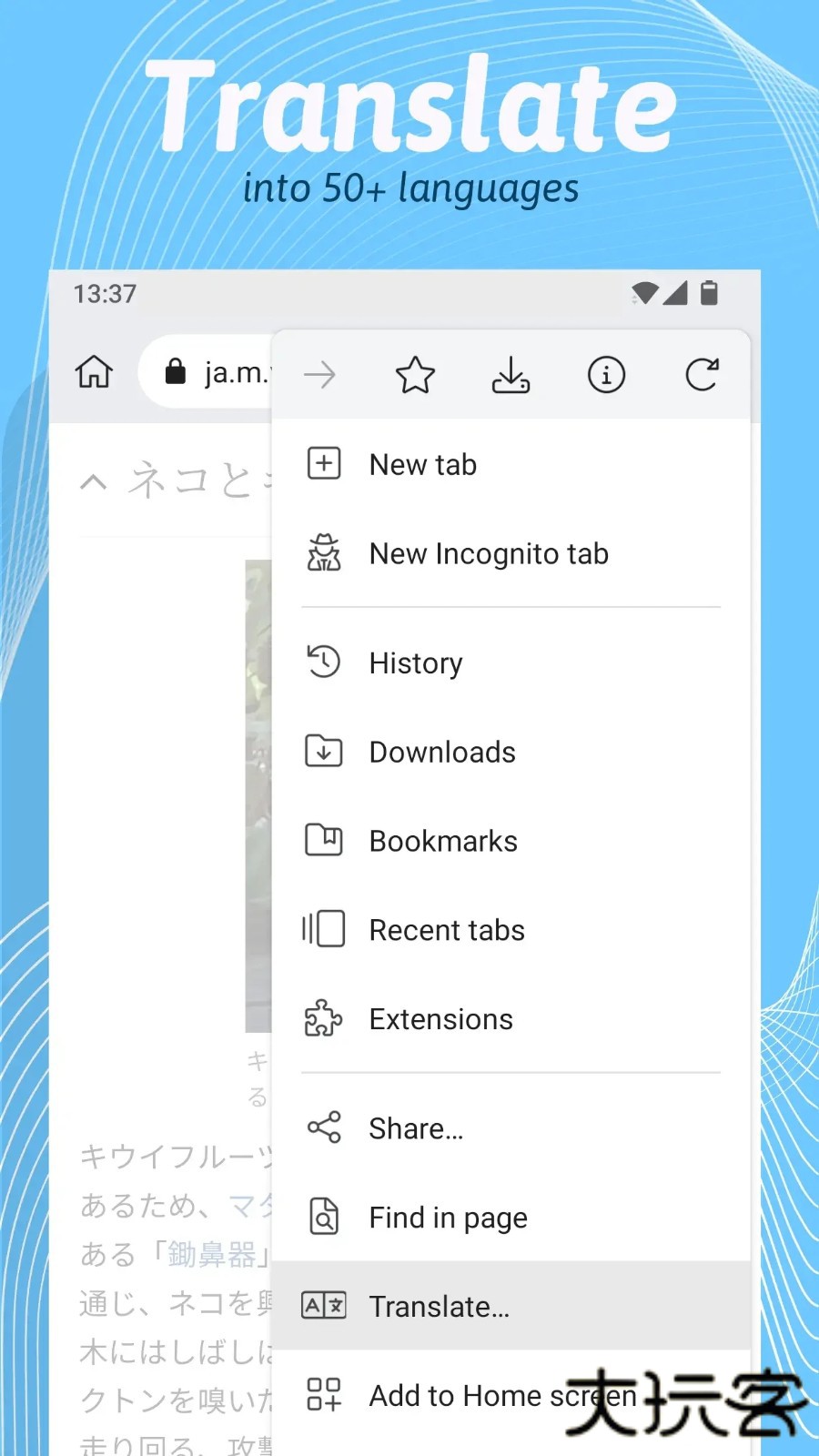 kiwibrowser免费下载