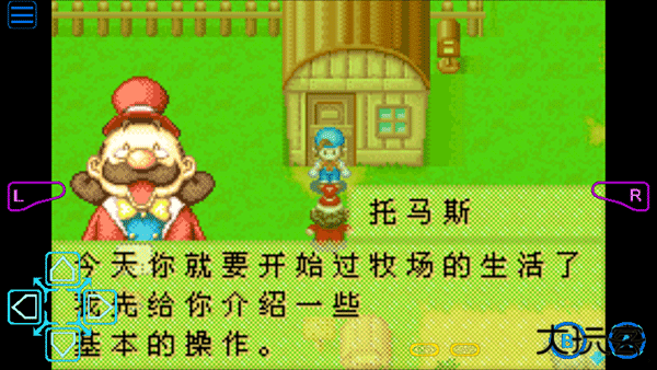 牧场物语矿石镇的伙伴们汉化版