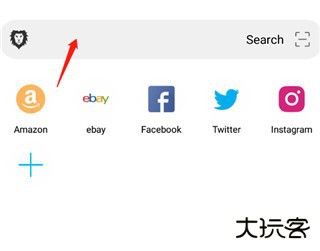 黑狮浏览器游戏图片4