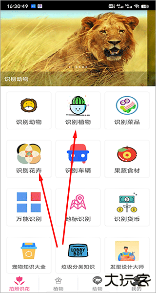 拍照识花神器app