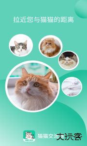 猫猫交流器app下载 v3.3.9安卓版