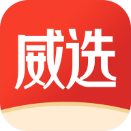 威选网安卓版