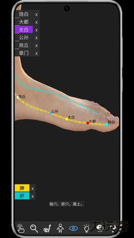 知之得芝官方正版下载2.0免费版