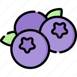 蓝莓音乐安卓版