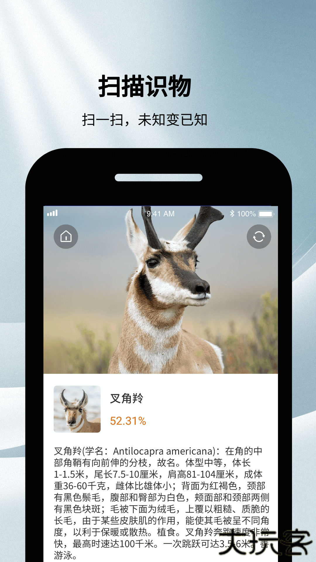 神奇扫描助手安卓版