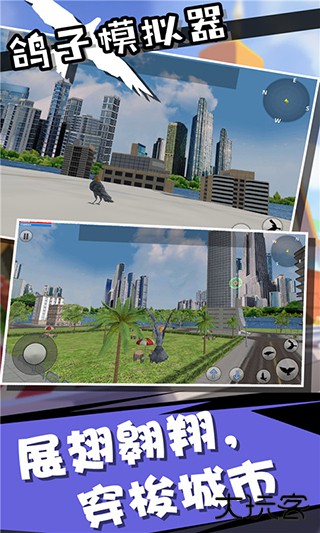 鸽子模拟器最新版下载