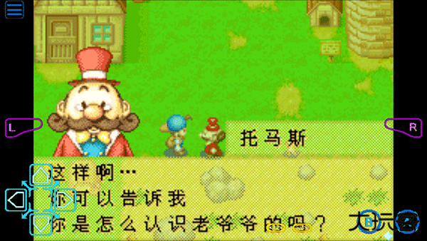 牧场物语矿石镇的伙伴们汉化版下载