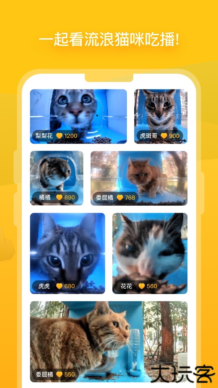 哈啰街猫流浪猫app官方版v2.2.0