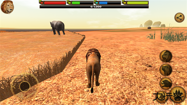 终极狮王模拟器最新版下载