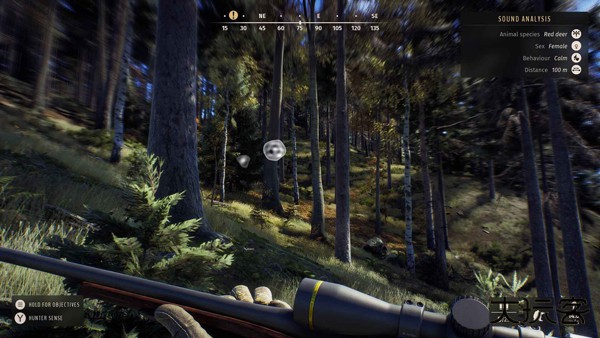 猎人之路最新版下载