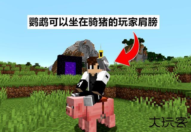 我的世界烦人的村民