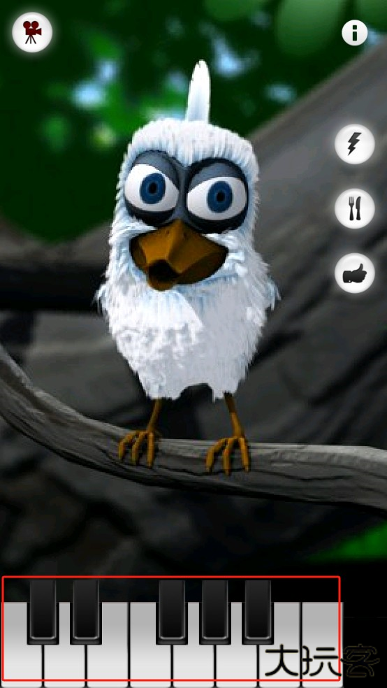 会说话的拉里鸟最新版