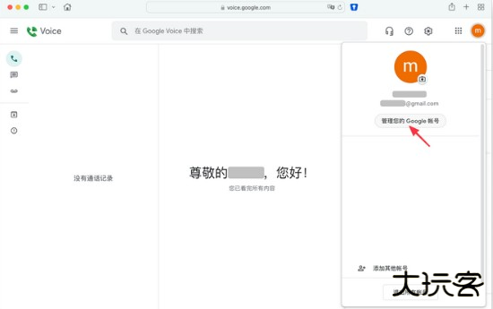 Google Voice使用说明图片2