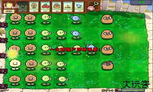 植物大战僵尸幼儿园版2025最新版