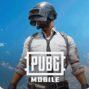 和平精英国际服pubg最新版下载