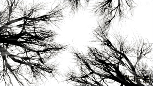 故事里的秘密通关攻略截图4