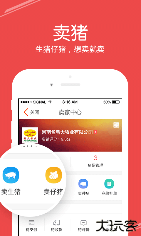 国家生猪市场app安卓版