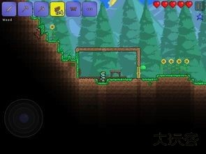 泰拉瑞亚1.4.4.9一只皮皮蛙汉化版