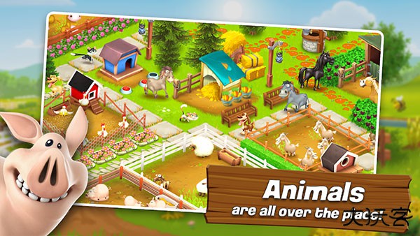 hayday最新版下载