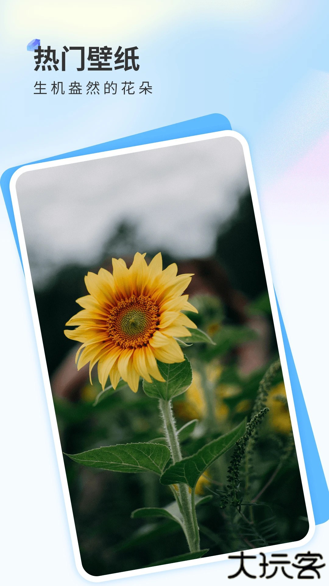 克拉壁纸免费版最新下载V2.0