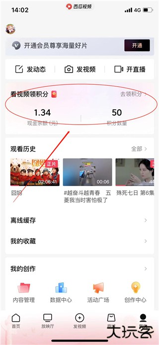 西瓜视频极速版