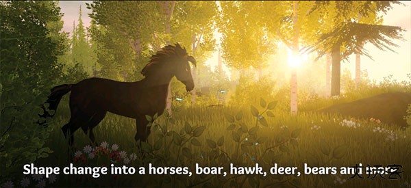 wilderless流浪荒野最新版下载