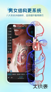 维萨里3D解剖教学app下载 v6.9.9安卓版
