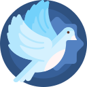 白鸽软件库免费下载