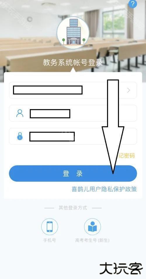 喜鹊儿309版本