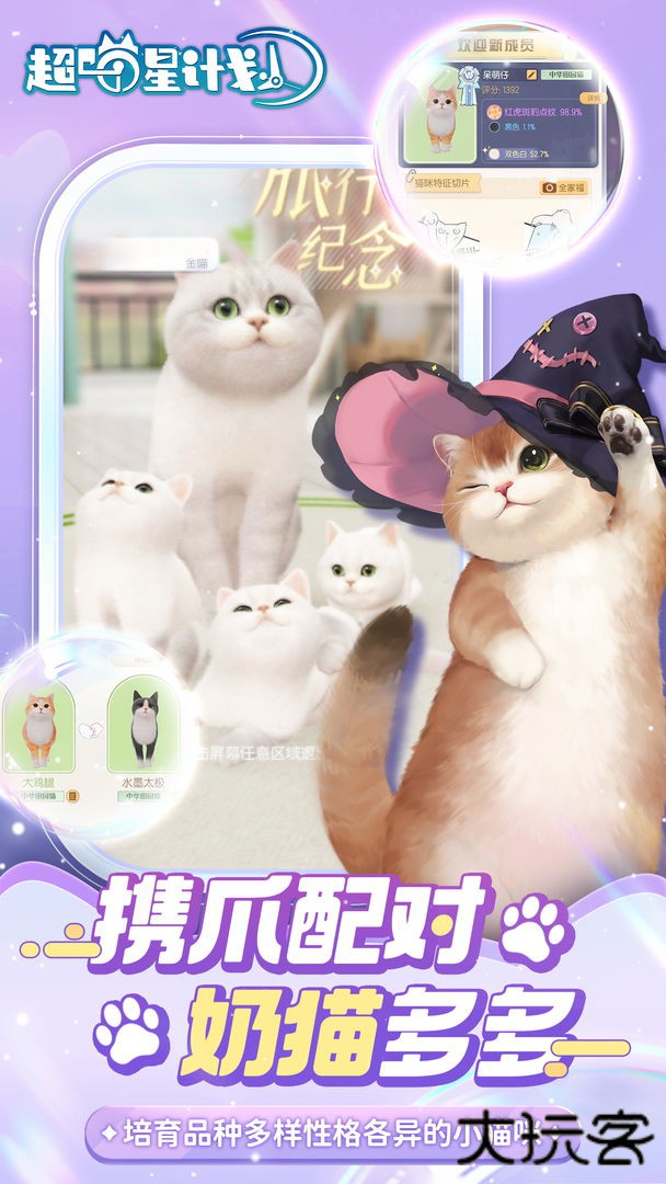 超喵星计划最新版下载