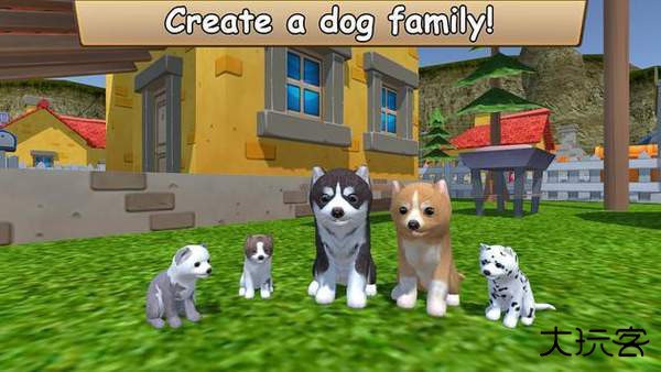 美国Zoom动物最新版下载