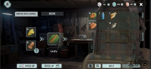 玉米
