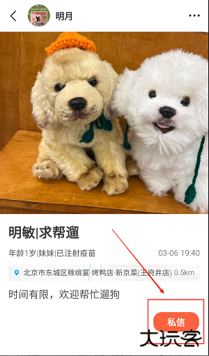 爱犬